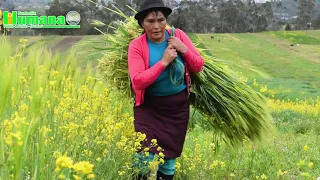 Fundación Humana Pueblo a Pueblo Ecuador 