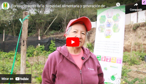 Fortalecimiento de la seguridad alimentaria y las capacidades de generación de ingresos para 50 familias pobres de Quisapincha, Provincia de Tungurahua, Ecuador