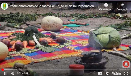 Posicionamiento de la marca KURI MURU