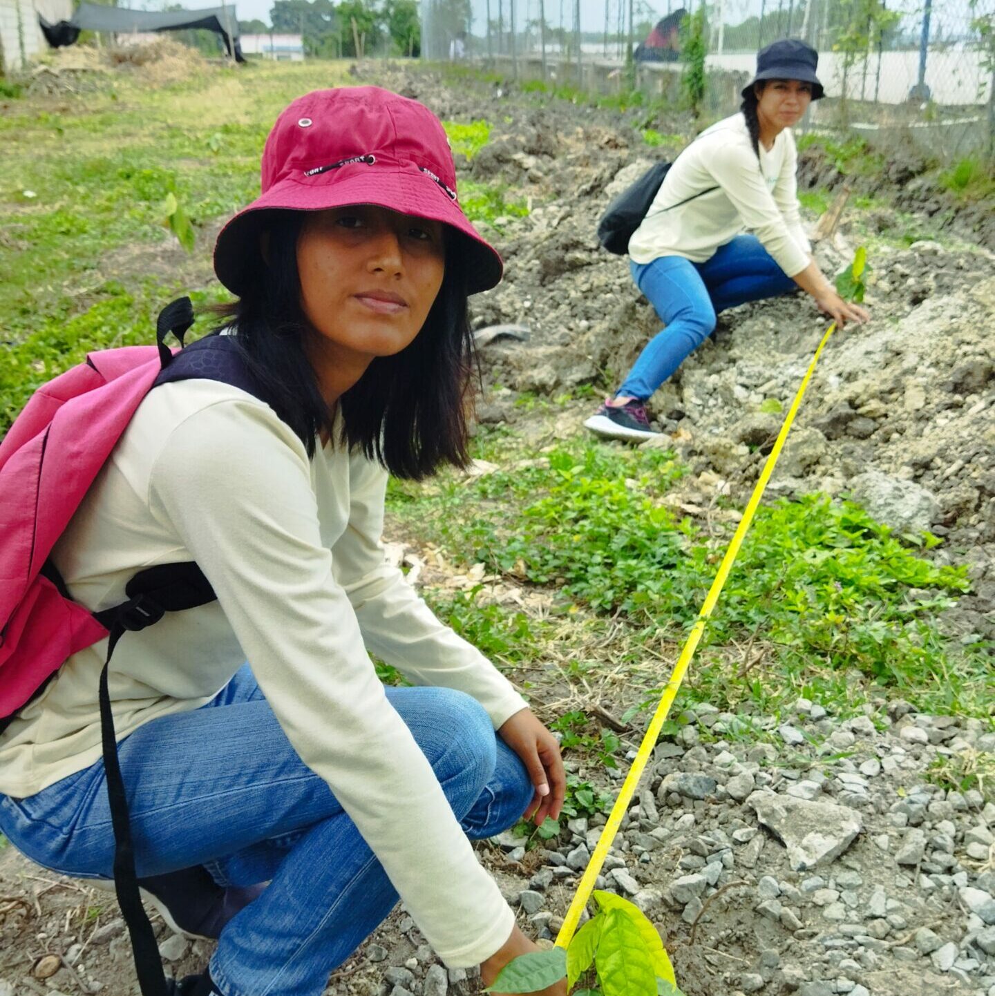 El Voluntariado Universitario: Una Semilla de Cambio para las Comunidades Rurales de Ecuador