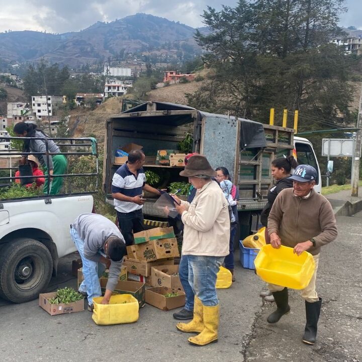 Entrega de Kits de Plantas Frutales y Hortalizas para Promover la Agricultura Sostenible