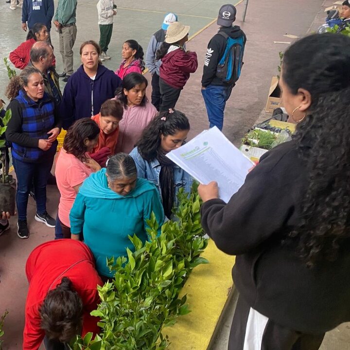 Agricultura Comunitaria: Plantas y Semillas para las familias de San Miguel