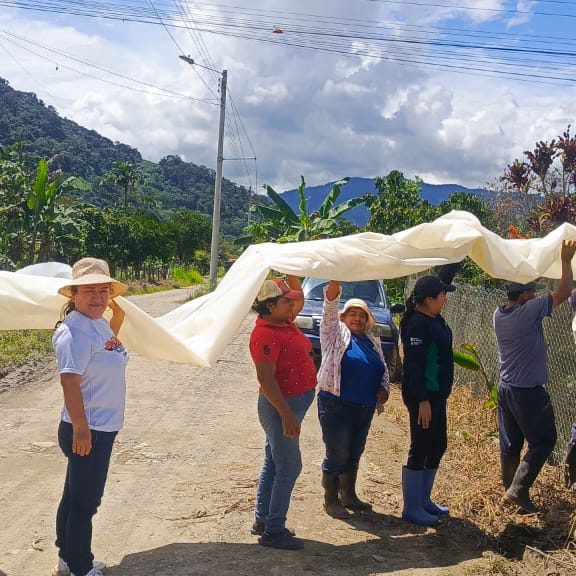 Construcción e implementación de 3 parcelas demostrativas en el catón Centinela del Cóndor.