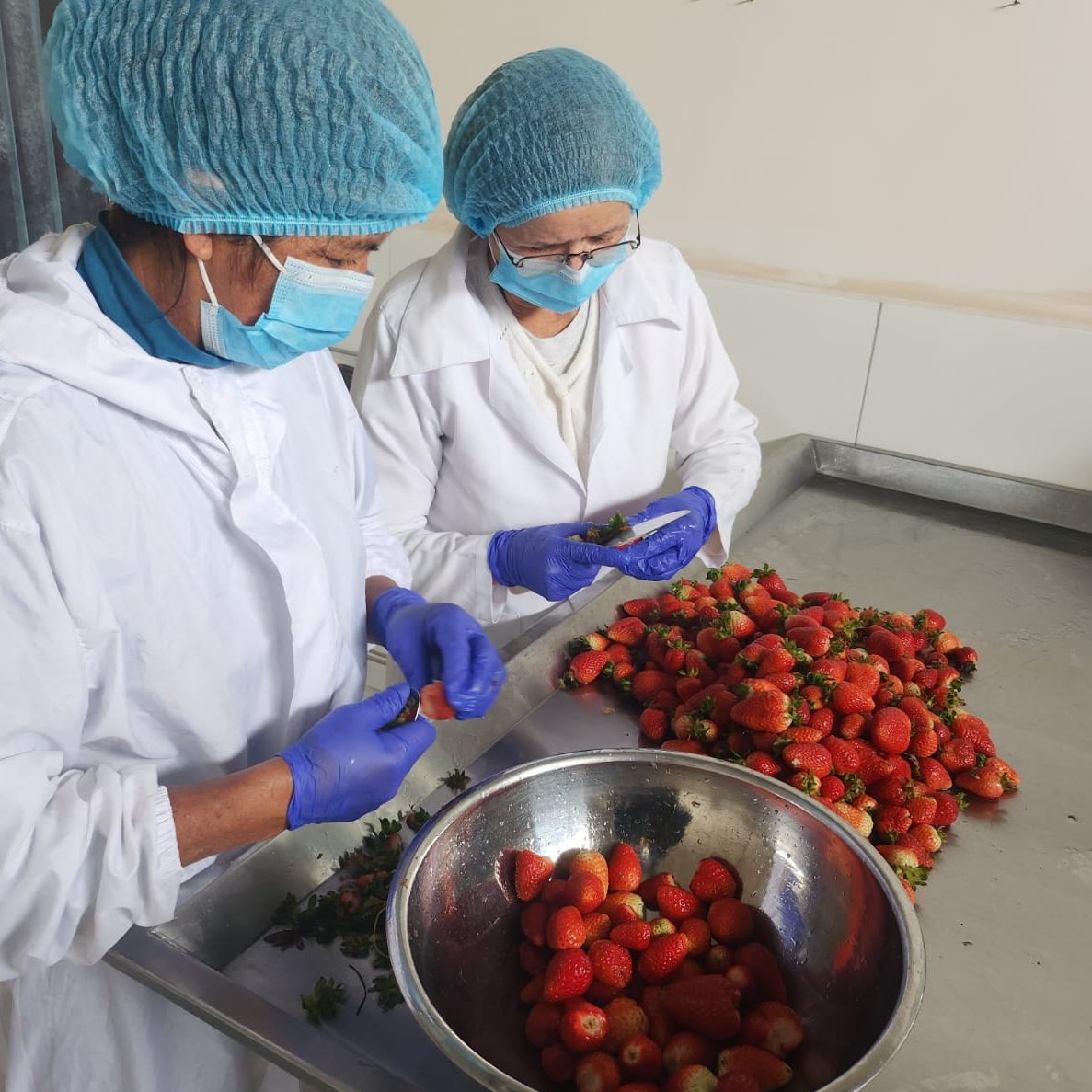 Avanzamos hacia la comercialización segura de productos con valor agregado en Quisapincha y Tisaleo