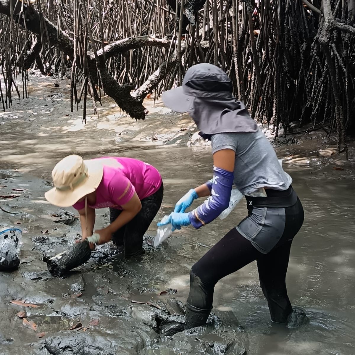 Iniciamos un nuevo proyecto por la resiliencia costera y la conservación de los manglares en El Oro