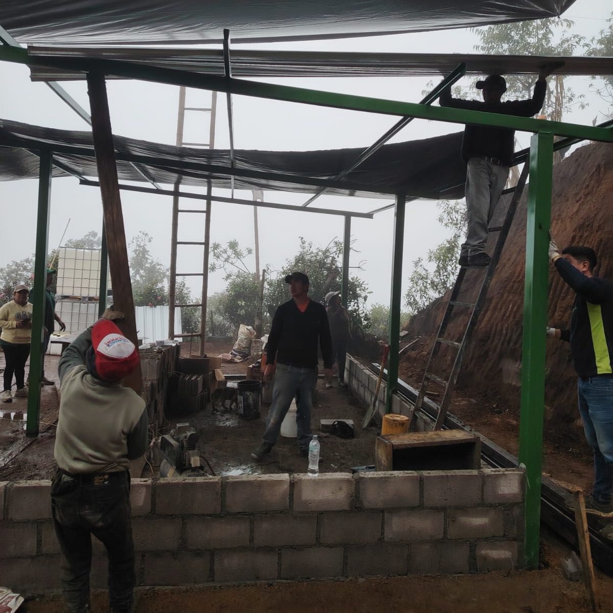 Implementamos una Biofábrica que impulsa la transición agroecológica en Chillanes